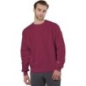 Buy Champion S1049 Adult Reverse Weave Crew | ApparelChoice.ca