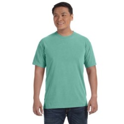 Buy Comfort Colors C1717 Adult Heavyweight T-Shirt | ApparelChoice.ca