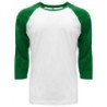 Buy Next Level Apparel 6251 Unisex CVC 3/4 Sleeve Raglan Baseball T-Shirt | ApparelChoice.ca