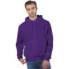 Buy Champion S1051 Reverse Weave Pullover Hooded Sweatshirt | ApparelChoice.ca